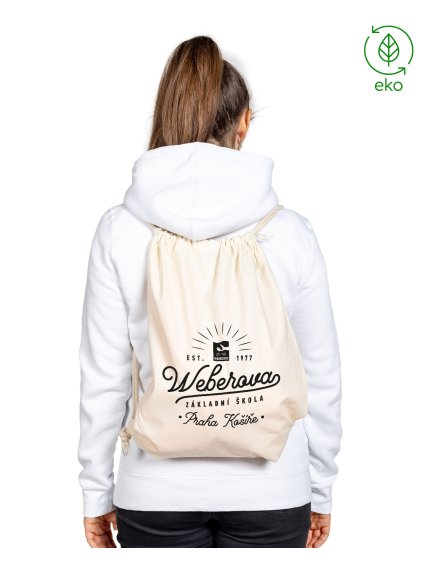 679a2dde99600