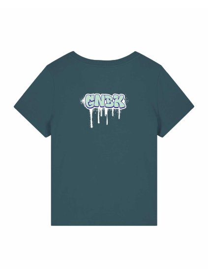 Dámské Organic tričko Premium do V Stargazer (Modrošedá)