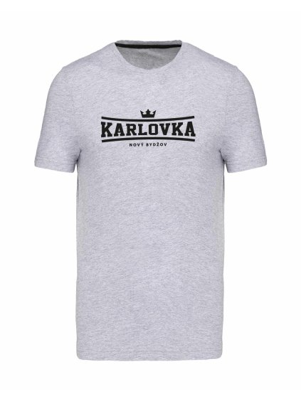 I19gCZn68LFa6bMCgY5q